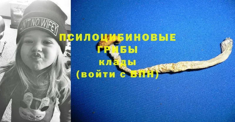 Псилоцибиновые грибы ЛСД  Большой Камень 